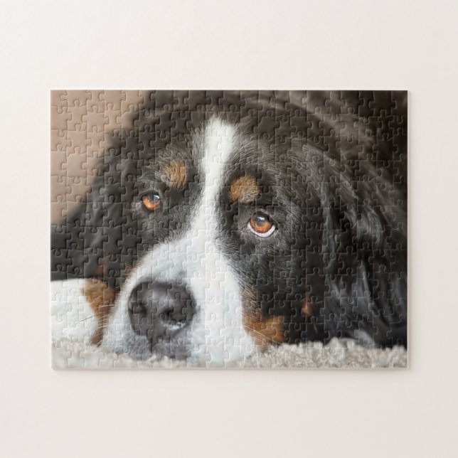 Puzzle Chien de montagne bernois (Horizontal)