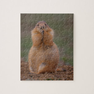 Puzzle chien de prairie