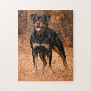 Puzzle Chien de Rottweiler
