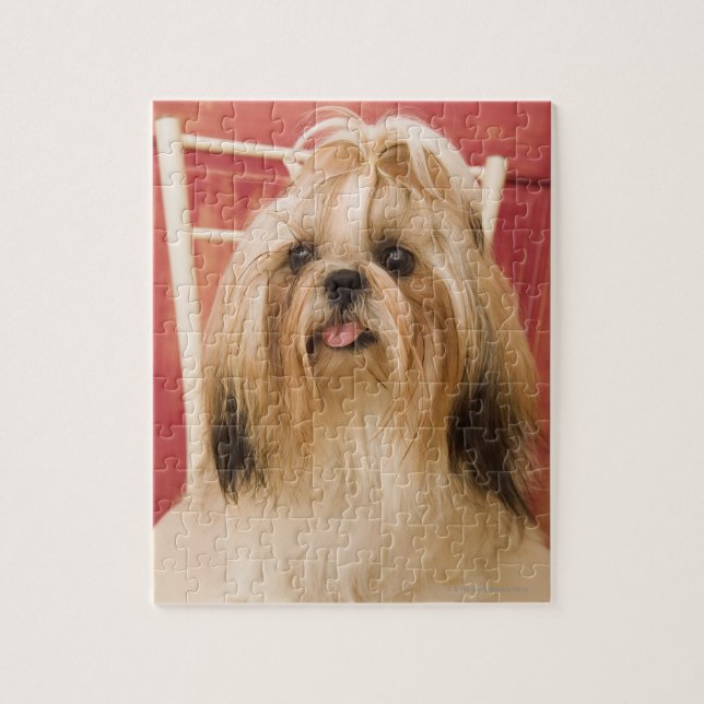 Puzzle Chien de Shih-tzu (Vertical)