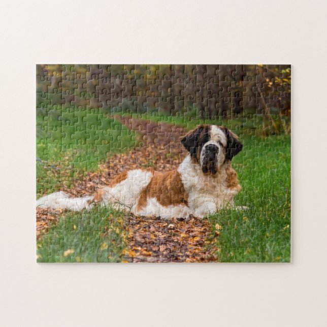 Puzzle Chien de St Bernard en automne (Horizontal)