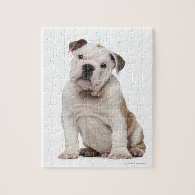 Puzzle Chien de taureau anglais (2 mois) (Vertical)
