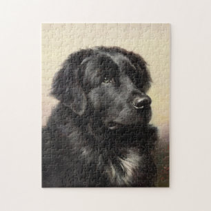 Puzzle Chien de Terre-Neuve peinture vintage