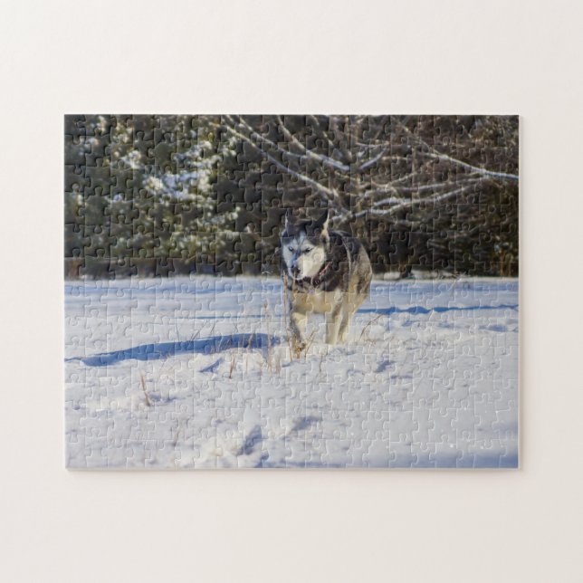 Puzzle Chien de traîneau sibérien dans la neige (Horizontal)