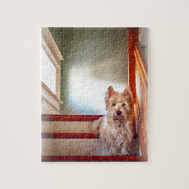 Puzzle Chien de Westie se reposant sur les escaliers, (Vertical)