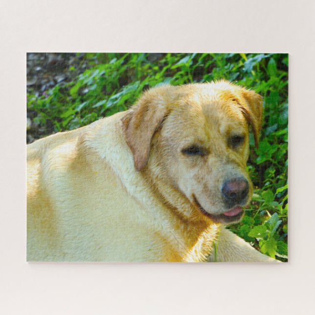 Puzzle Chien du Labrador. (Horizontal)