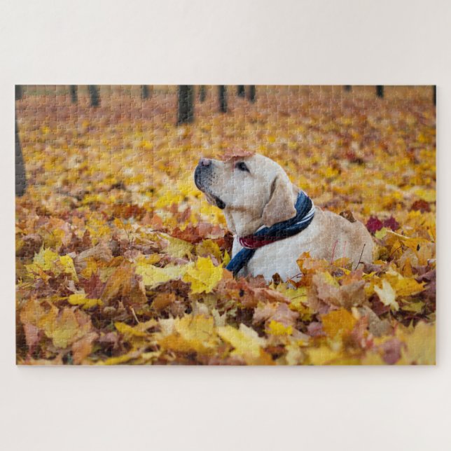 Puzzle Chien du Labrador mignon dans les feuilles d'autom (Horizontal)