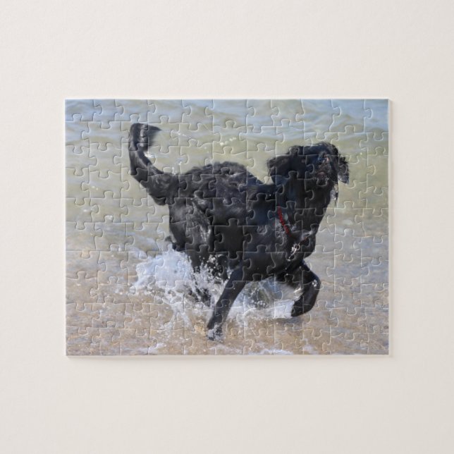Puzzle Chien en en friche | Black Labrador Splashing in W (Horizontal)