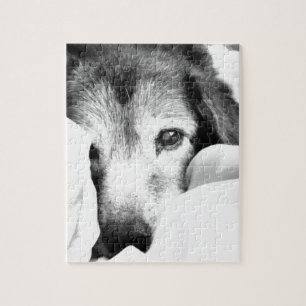 Puzzle chien endormi câlin sur lit noir blanc
