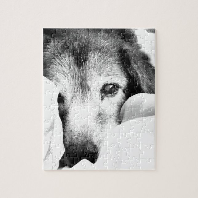 Puzzle chien endormi câlin sur lit noir blanc (Vertical)