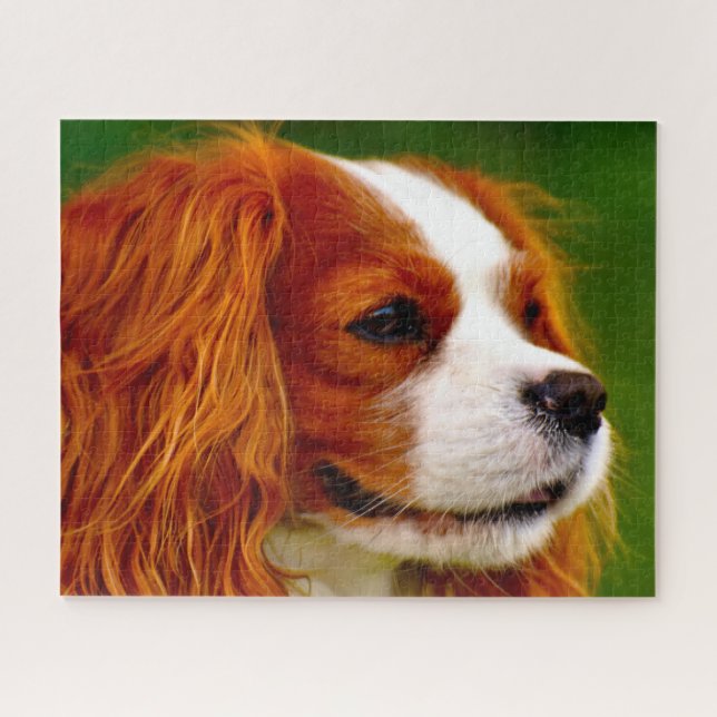 Puzzle Chien Épagneul King Charles. (Horizontal)