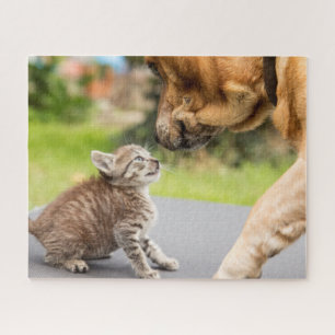 Puzzle Chien et chat des images   de Getty dans l'amour