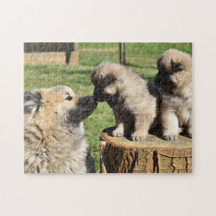 Puzzle Chien et chiots Eurasier