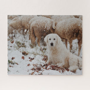 Puzzle Chien gardien du bétail blanc avec mouton