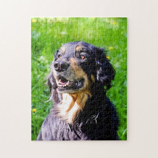 Puzzle Chien Hovawart. (Vertical)