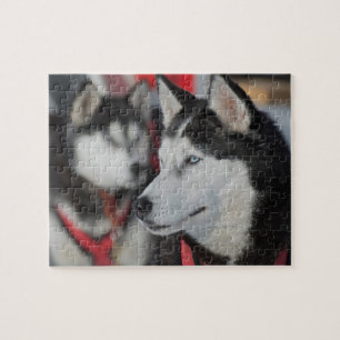 Puzzle Chien husky avant une course, Canada