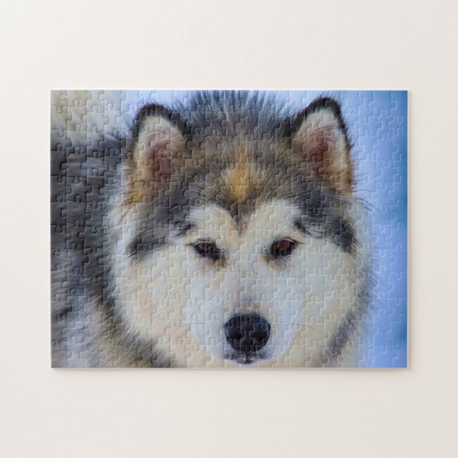 Puzzle Chien Husky d'Alaska. (Horizontal)