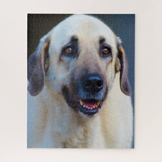 Puzzle Chien Kangal. (Vertical)