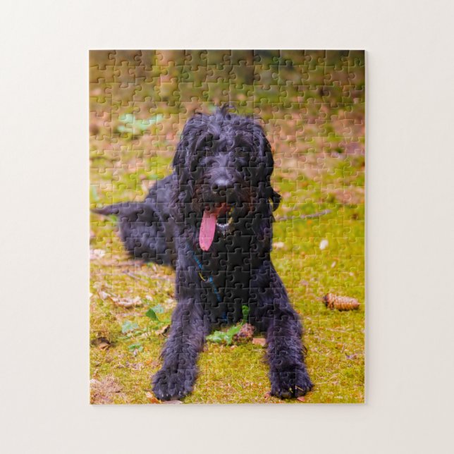 Puzzle Chien Labradoodle. (Vertical)