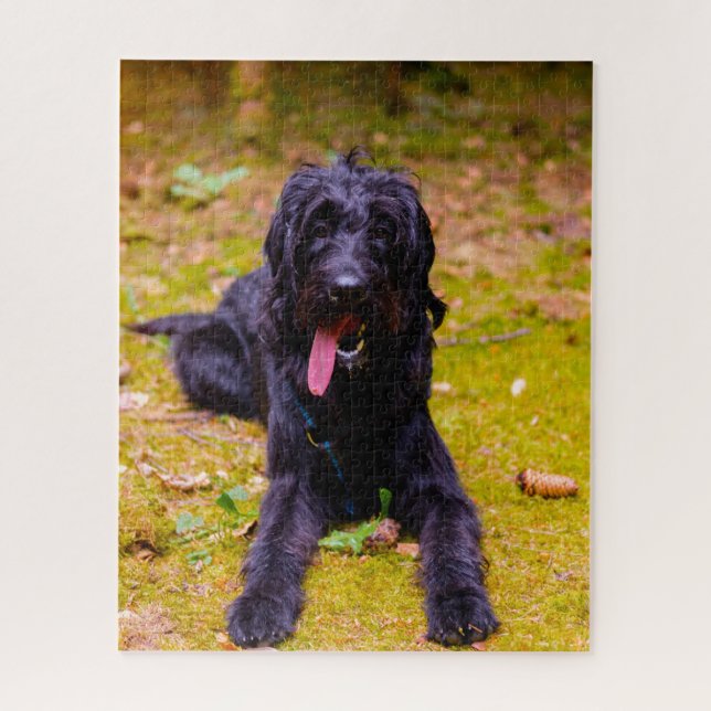 Puzzle Chien Labradoodle. (Vertical)