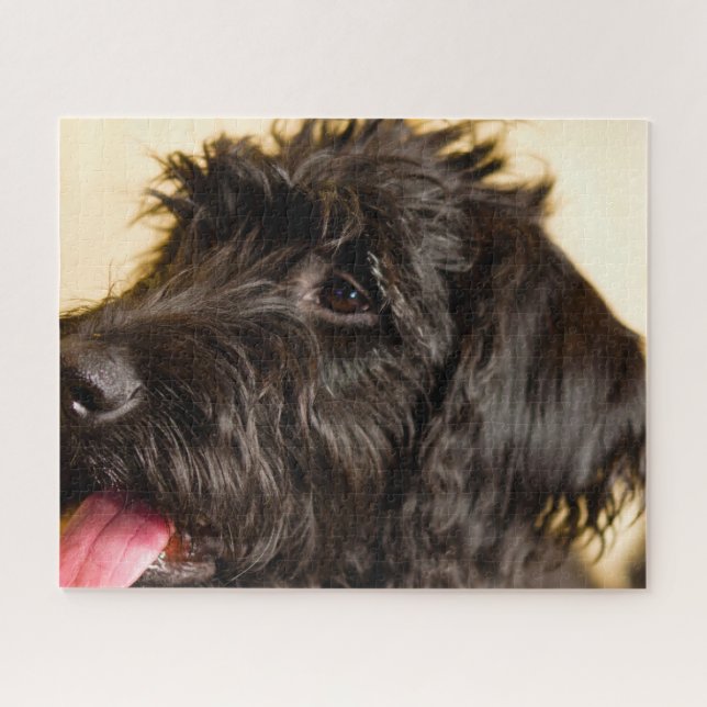 Puzzle Chien Labradoodle. (Horizontal)