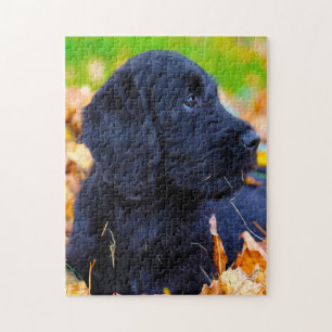 Puzzle Chien Labradoodle.