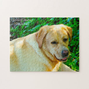 Puzzle Chien labrador.