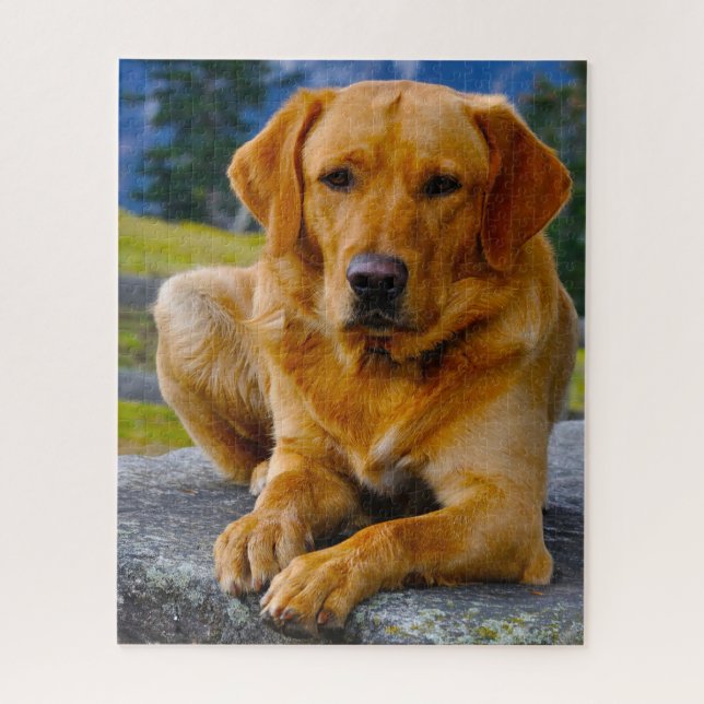 Puzzle Chien Labrador. (Vertical)
