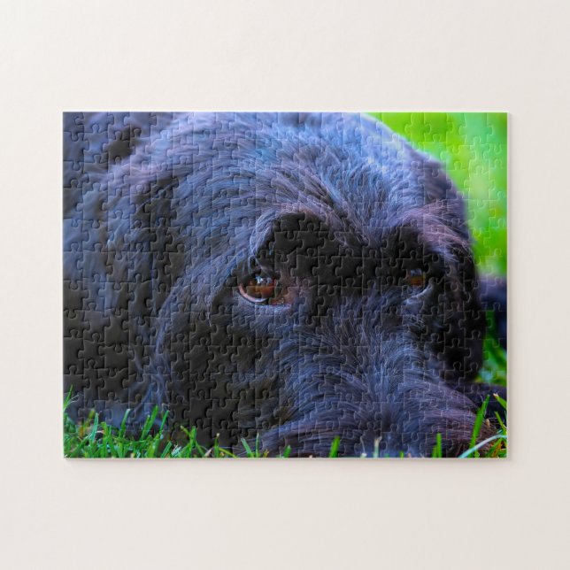 Puzzle Chien Labrador. (Horizontal)