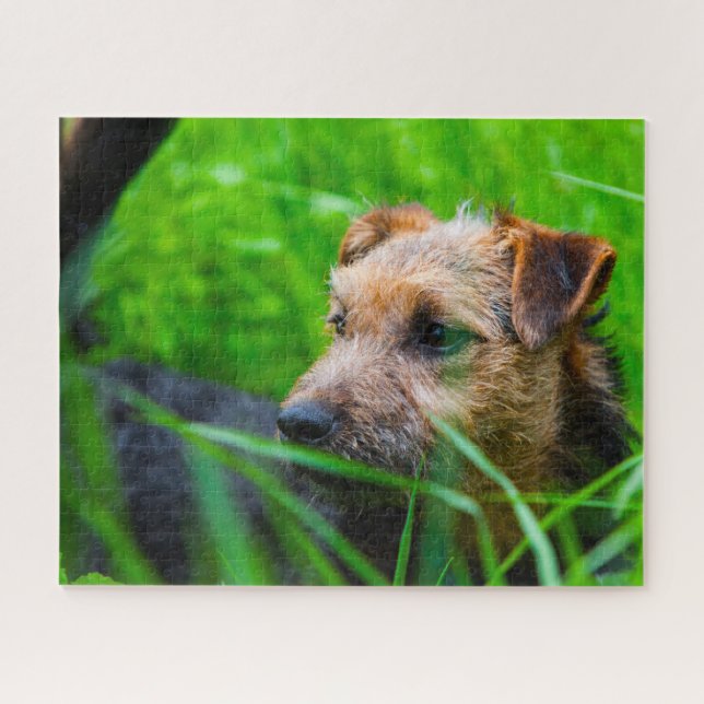 Puzzle Chien Lakeland Terrier. (Horizontal)