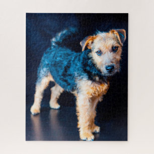 Puzzle Chien Lakeland Terrier.