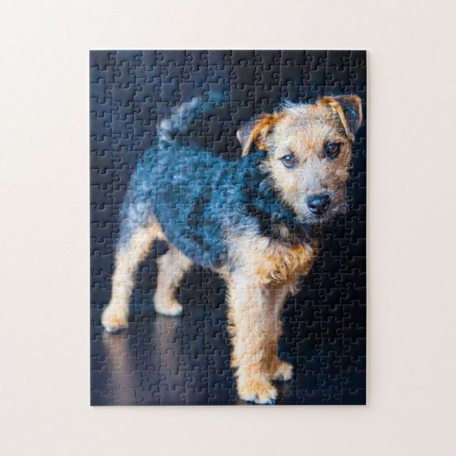 Puzzle Chien Lakeland Terrier. (Vertical)