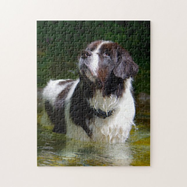 Puzzle Chien Landseer. (Vertical)