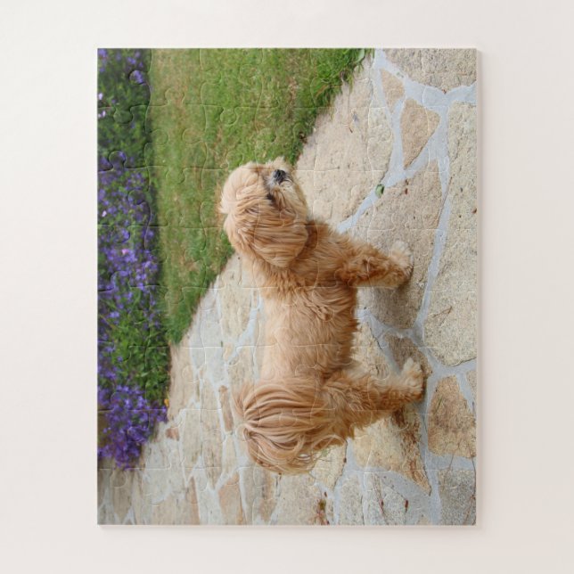 Puzzle Chien Lhasa Apso dans un jardin (Vertical)
