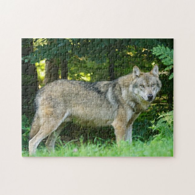 Puzzle Chien loup dans une forêt (Horizontal)