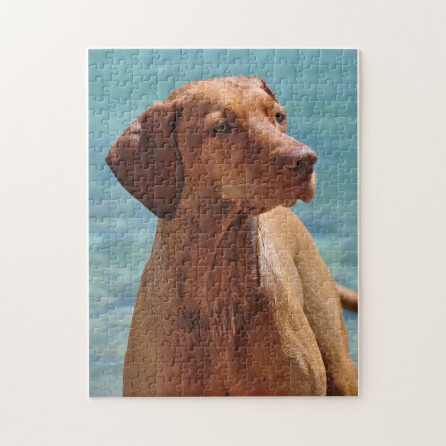 Puzzle Chien Magyar Vizsla (Vertical)