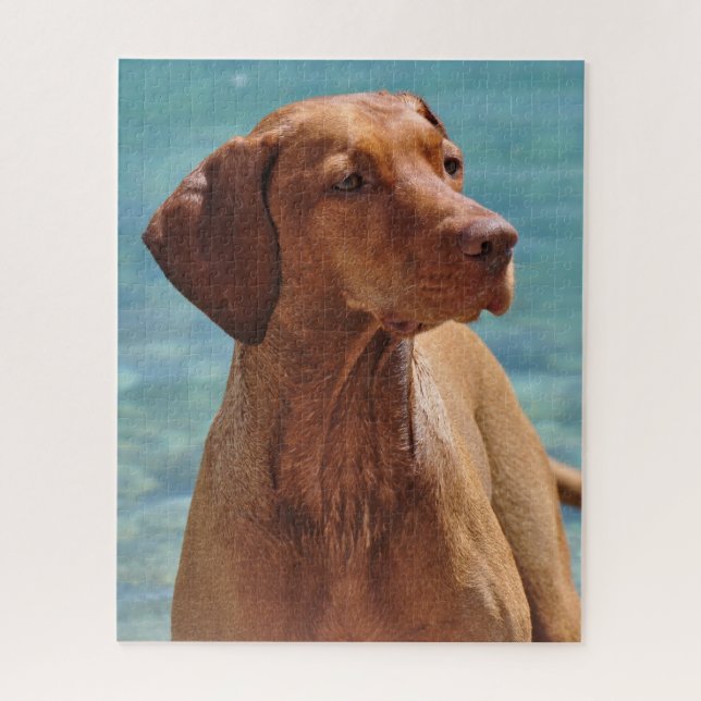 Puzzle Chien Magyar Vizsla (Vertical)