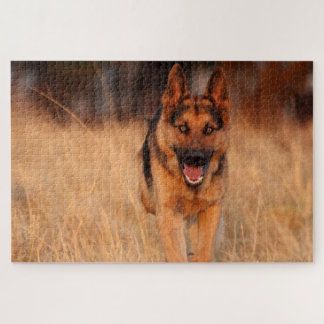Puzzle Chien mâle Shephard allemand