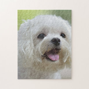 Puzzle Chien maltais blanc
