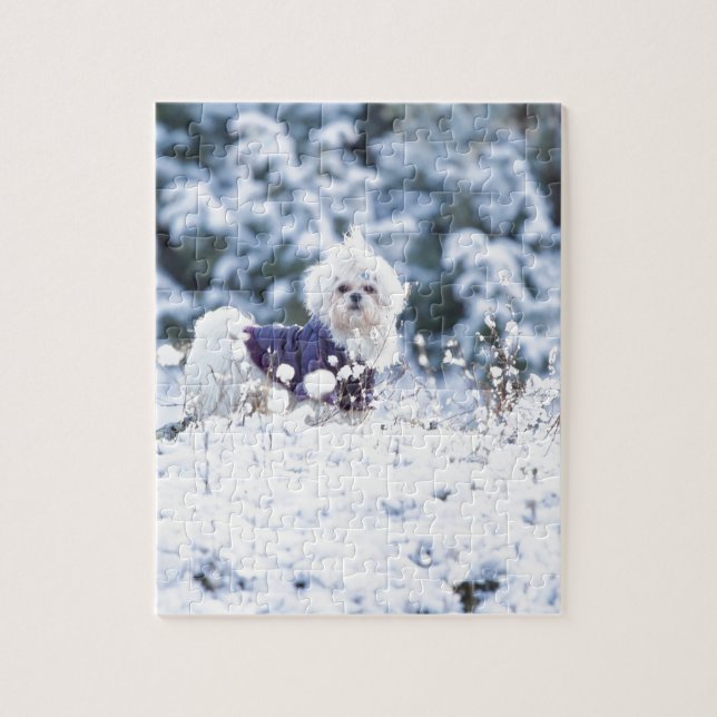 Puzzle Chien maltais mignon (Vertical)