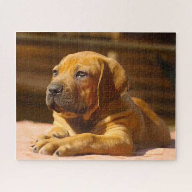Puzzle Chien Mastiff. (Horizontal)