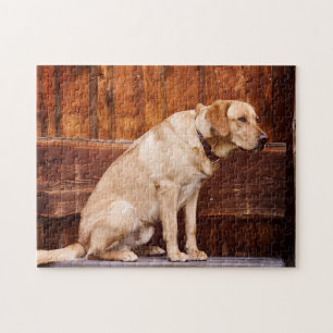 Puzzle chien mignon