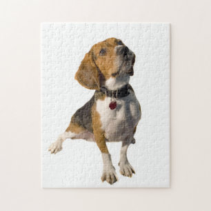 Puzzle Chien mignon de beagle