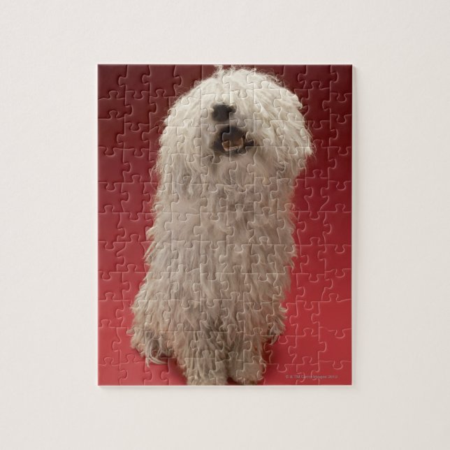 Puzzle Chien mignon de Komondor (Vertical)