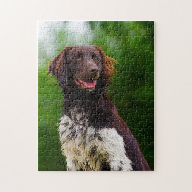 Puzzle Chien Munsterlander. (Vertical)