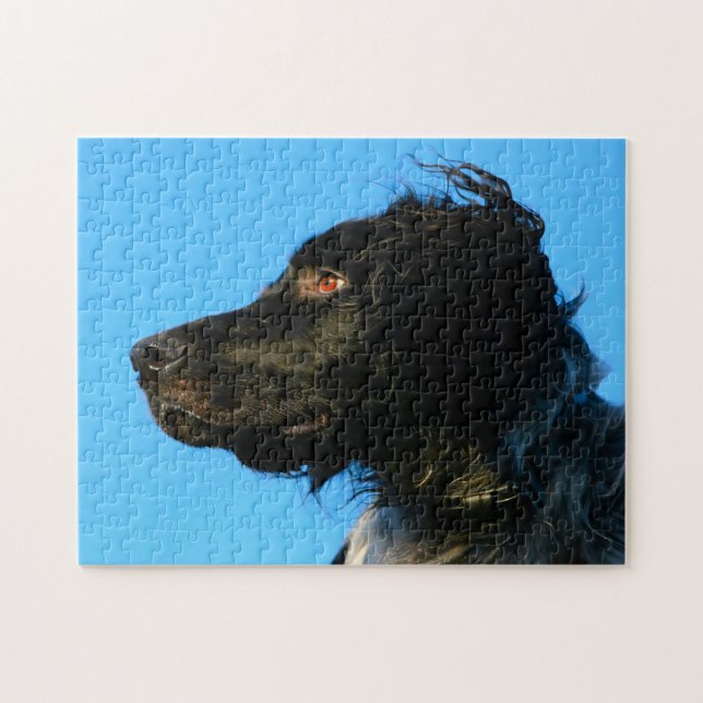 Puzzle Chien Munsterlander. (Horizontal)