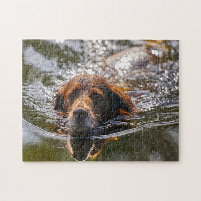 Puzzle Chien Munsterlander. (Horizontal)