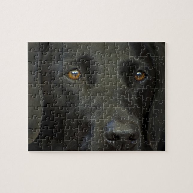 Puzzle Chien noir de Labrador (Horizontal)