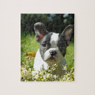 Puzzle Chien noir et blanc