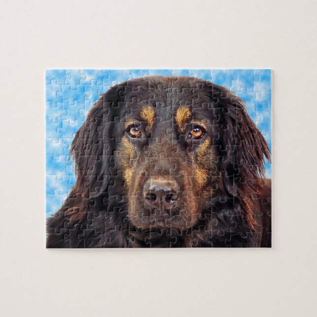 Puzzle Chien noir Hovawart. (Horizontal)